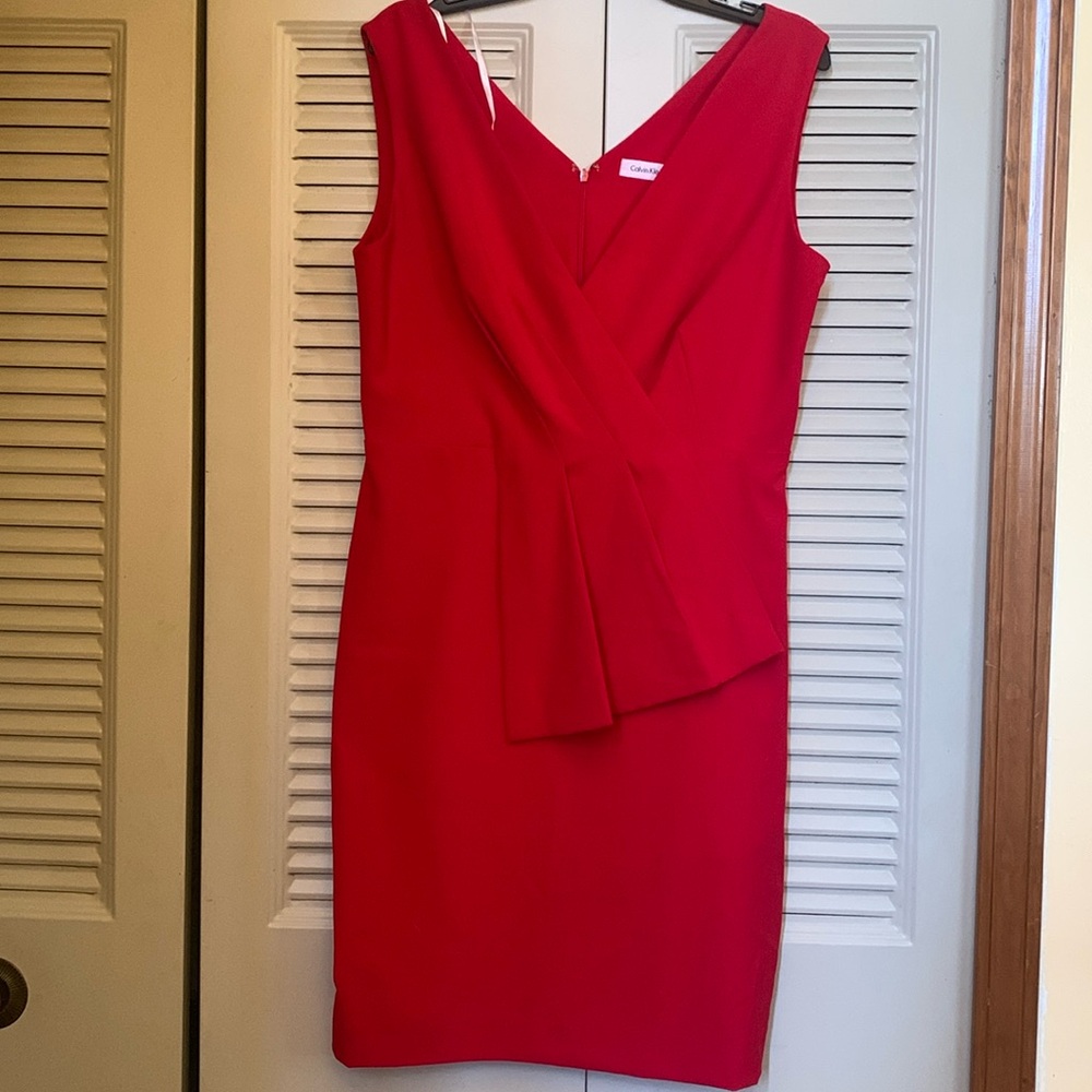 Calvin Klein read dress